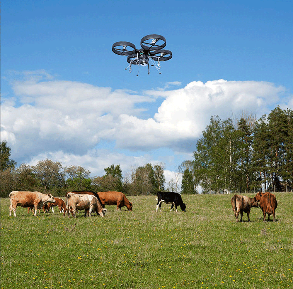 LIVESTOCK DRONE