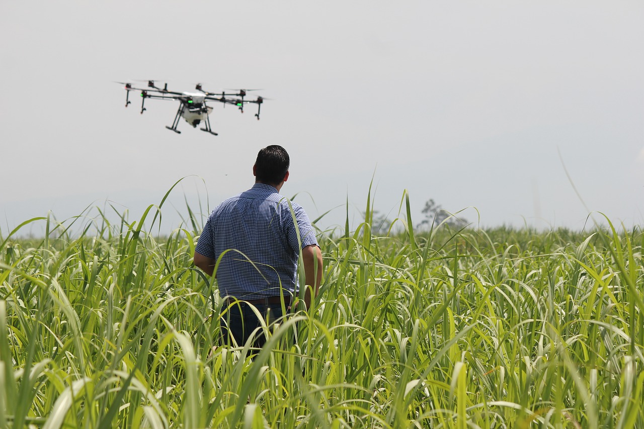 Fungsi Drone Untuk Pertanian, Kamu Wajib Tahu Agrozine
