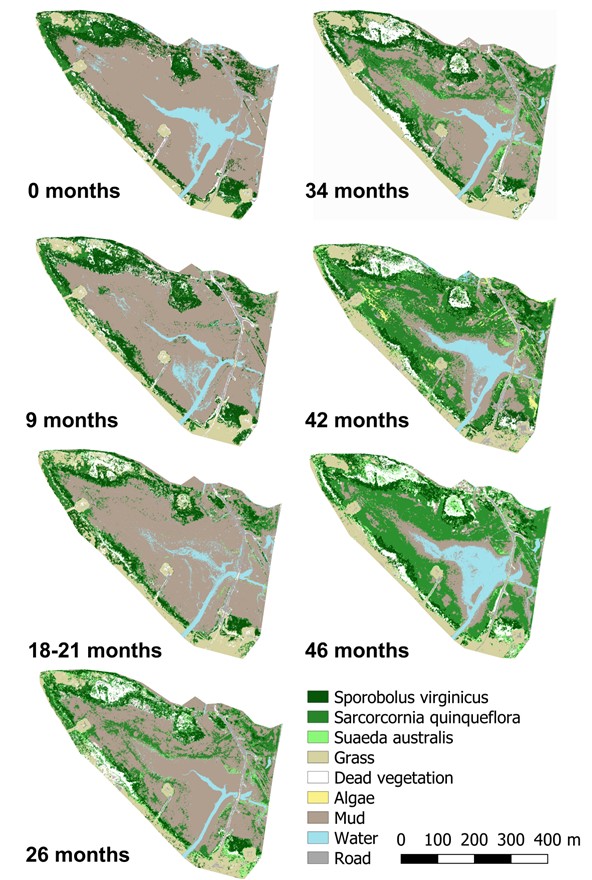 Using drones to track wetland vegetation change at blue carbon