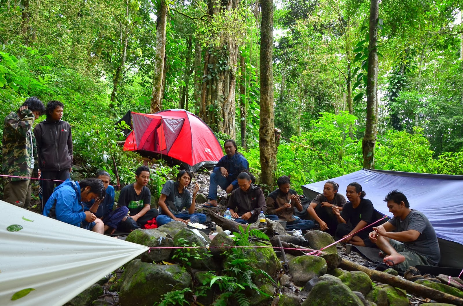 Materi Dasar Pecinta Alam Gunung Hutan