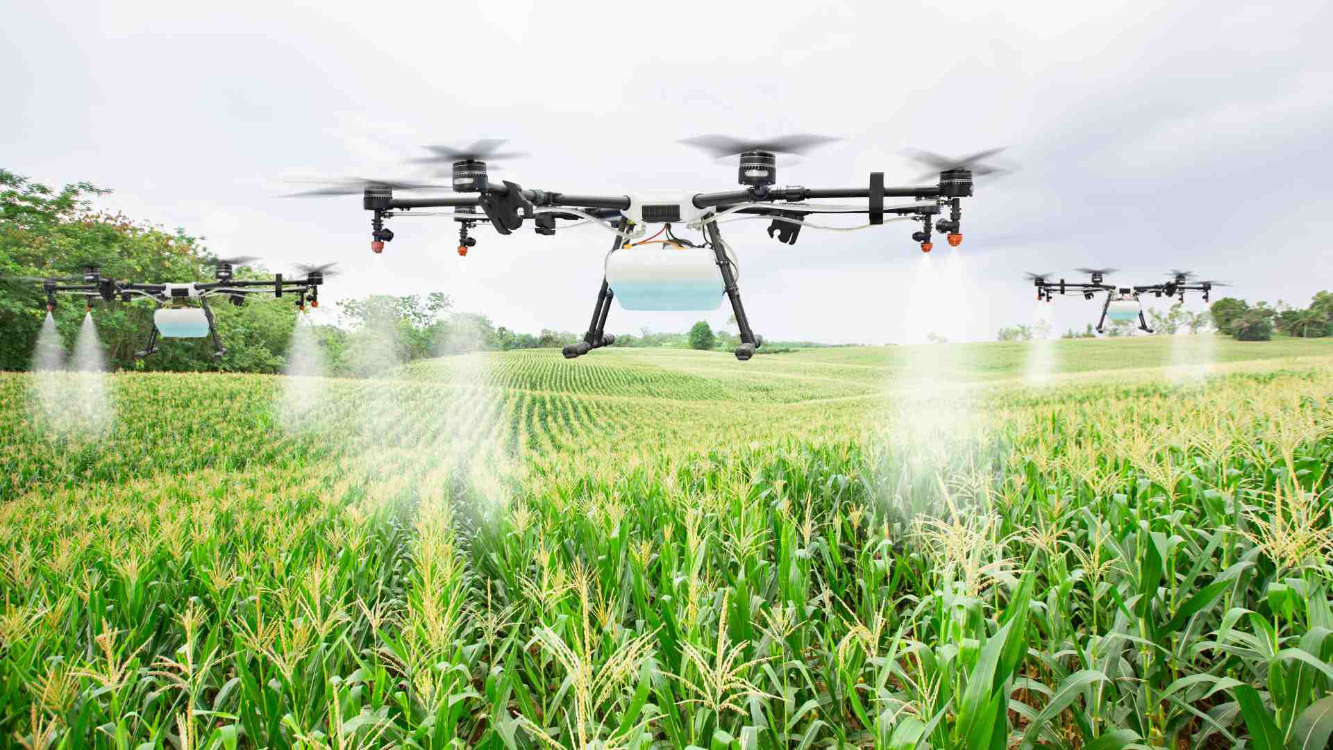 Drones and Agriculture Using UAVs to Optimize Crop Production and