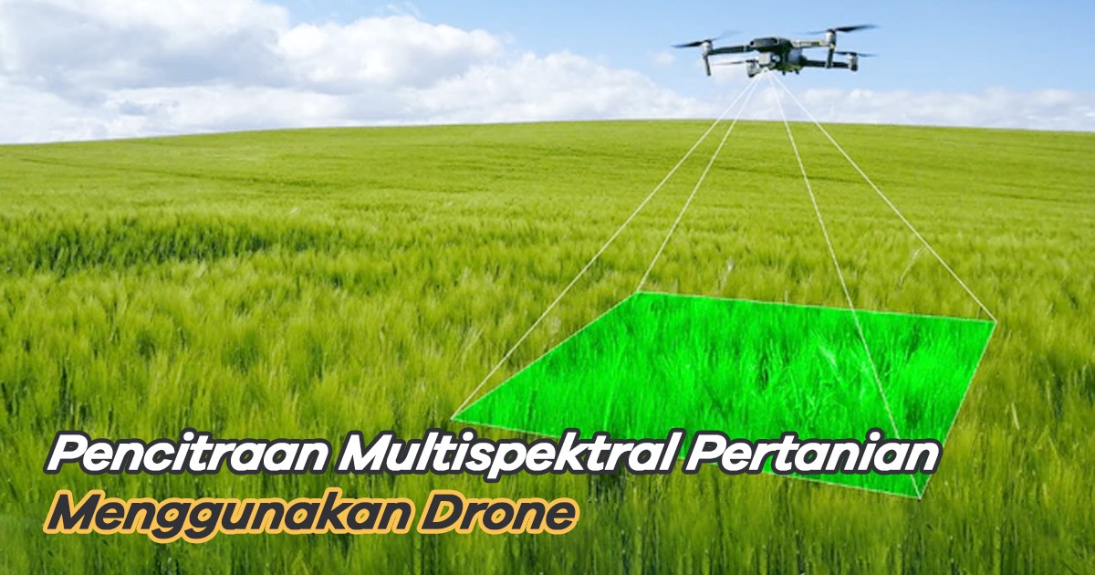 Drone Manfaat Pencitraan Multispektral dalam Pertanian