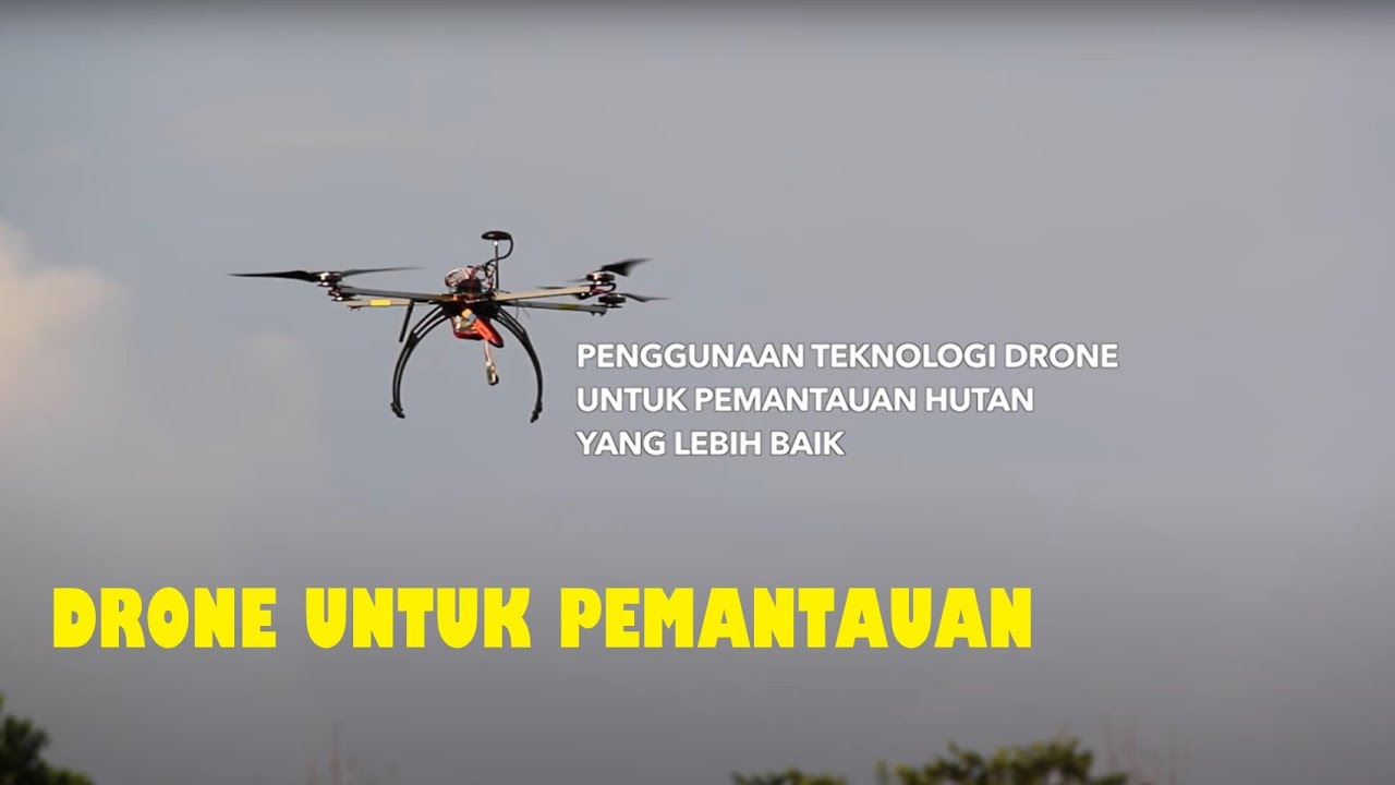Drone Untuk Pemantauan Hutan YouTube